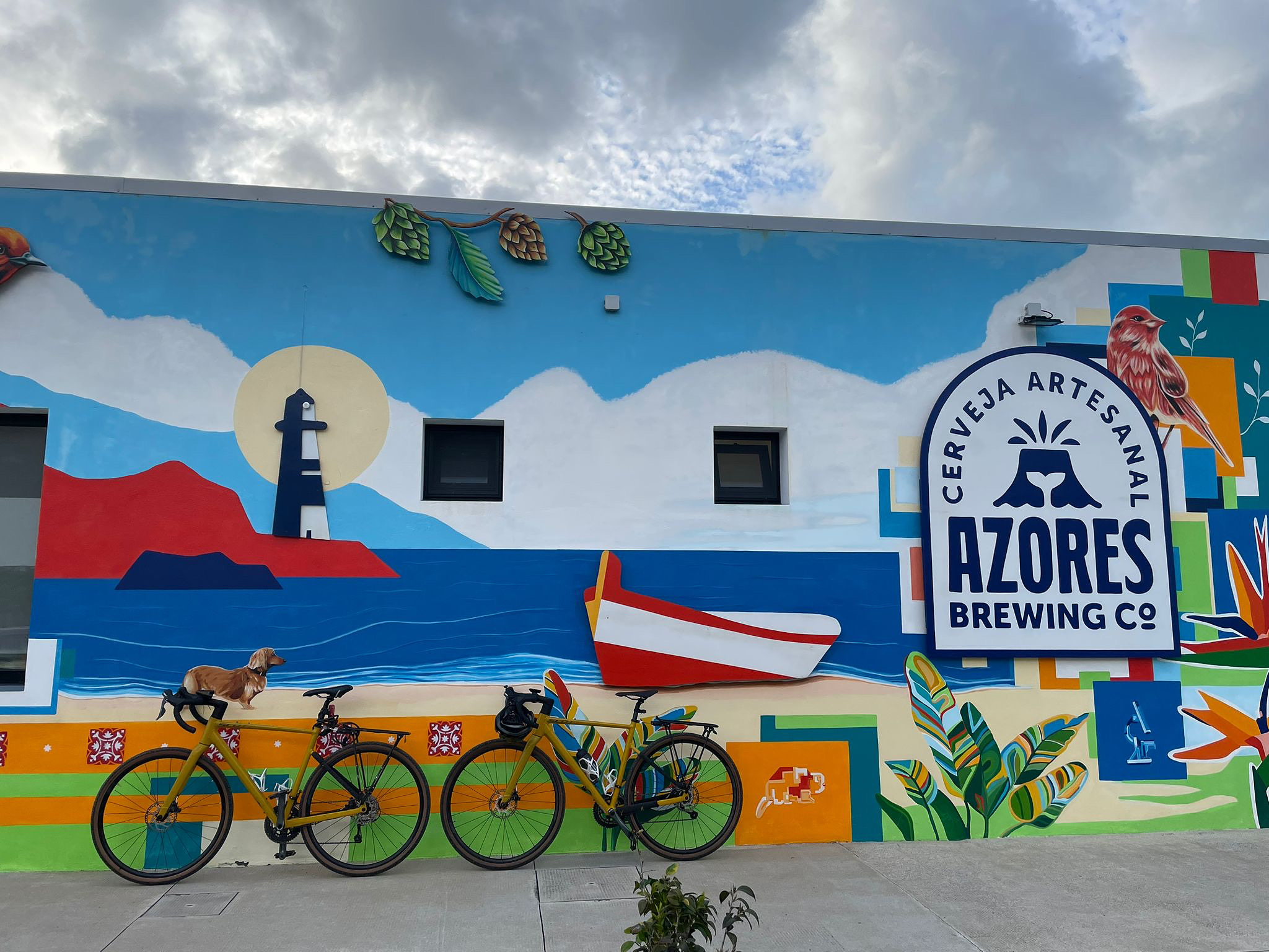 SCOTT Speedster Gravel - Photo 1